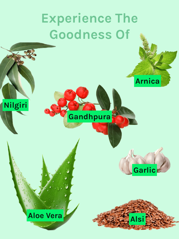 Image showing ingredients of Vericode Natural Pain relief Cream Ingredients